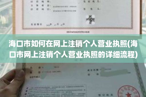 海口市如何在网上注销个人营业执照(海口市网上注销个人营业执照的详细流程)