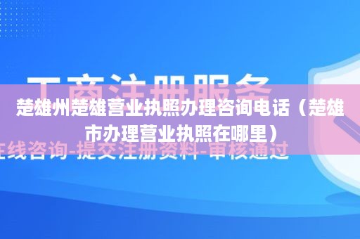 楚雄州楚雄营业执照办理咨询电话（楚雄市办理营业执照在哪里）