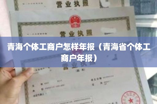 青海个体工商户怎样年报（青海省个体工商户年报）