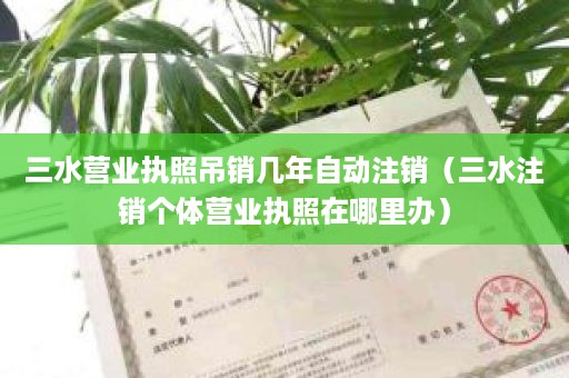 三水营业执照吊销几年自动注销（三水注销个体营业执照在哪里办）