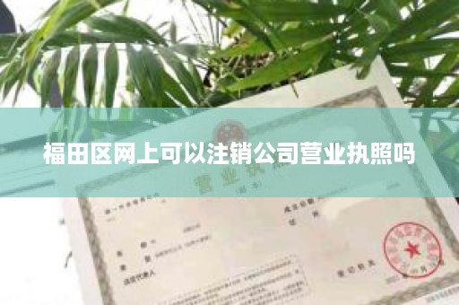 福田区网上可以注销公司营业执照吗