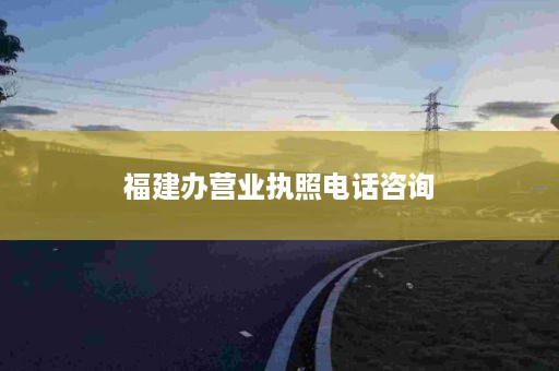 福建办营业执照电话咨询