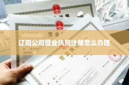 辽阳公司营业执照注册怎么办理