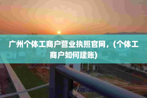 广州个体工商户营业执照官网，(个体工商户如何建账)