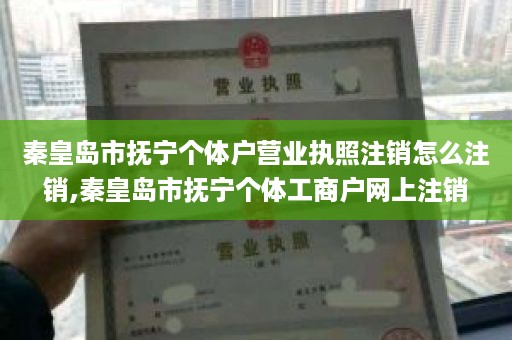 秦皇岛市抚宁个体户营业执照注销怎么注销,秦皇岛市抚宁个体工商户网上注销