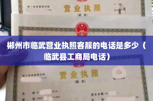 郴州市临武营业执照客服的电话是多少（临武县工商局电话）