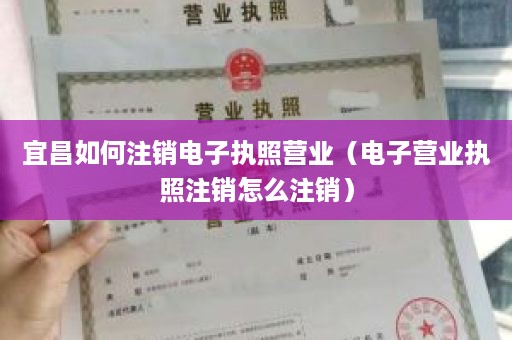 宜昌如何注销电子执照营业（电子营业执照注销怎么注销）