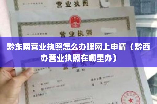 黔东南营业执照怎么办理网上申请（黔西办营业执照在哪里办）