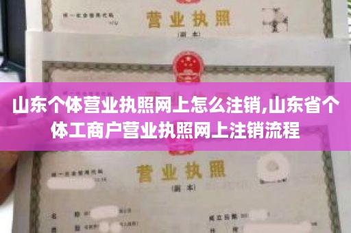 山东个体营业执照网上怎么注销,山东省个体工商户营业执照网上注销流程