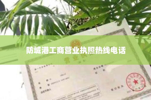 防城港工商营业执照热线电话