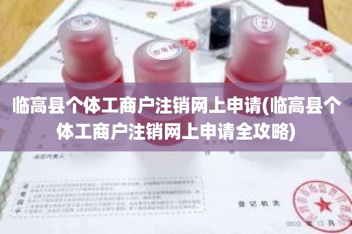 临高县个体工商户注销网上申请(临高县个体工商户注销网上申请全攻略)