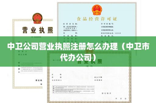 中卫公司营业执照注册怎么办理（中卫市代办公司）