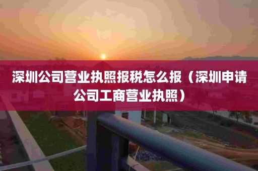 深圳公司营业执照报税怎么报（深圳申请公司工商营业执照）