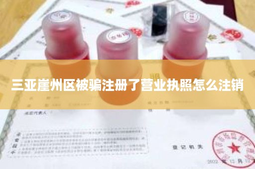 三亚崖州区被骗注册了营业执照怎么注销