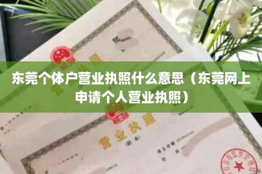 东莞个体户营业执照什么意思（东莞网上申请个人营业执照）