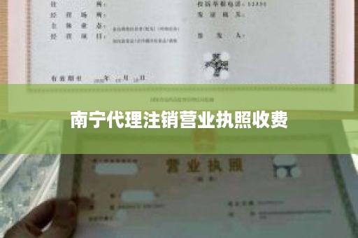 南宁代理注销营业执照收费