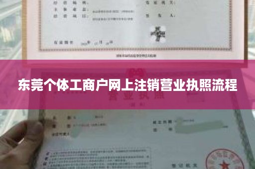 东莞个体工商户网上注销营业执照流程