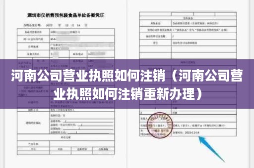 河南公司营业执照如何注销（河南公司营业执照如何注销重新办理）