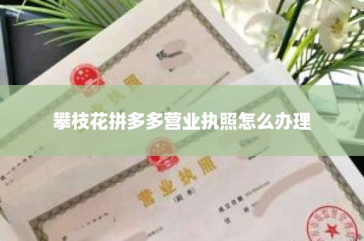 攀枝花拼多多营业执照怎么办理