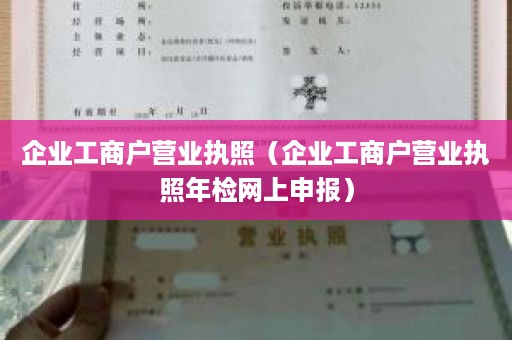 企业工商户营业执照（企业工商户营业执照年检网上申报）