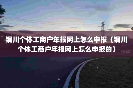 铜川个体工商户年报网上怎么申报（铜川个体工商户年报网上怎么申报的）