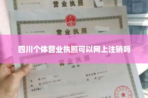 四川个体营业执照可以网上注销吗