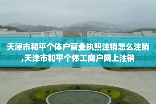 天津市和平个体户营业执照注销怎么注销,天津市和平个体工商户网上注销