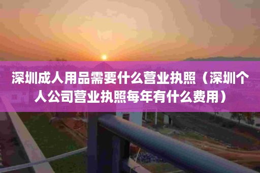 深圳成人用品需要什么营业执照（深圳个人公司营业执照每年有什么费用）