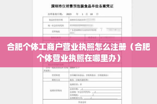 合肥个体工商户营业执照怎么注册（合肥个体营业执照在哪里办）