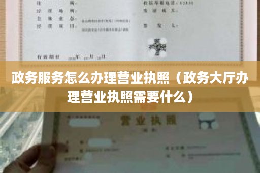 政务服务怎么办理营业执照（政务大厅办理营业执照需要什么）