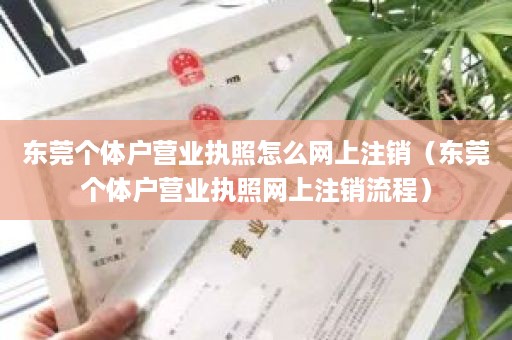 东莞个体户营业执照怎么网上注销（东莞个体户营业执照网上注销流程）