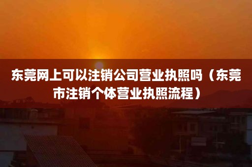 东莞网上可以注销公司营业执照吗（东莞市注销个体营业执照流程）