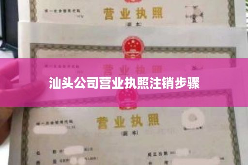 汕头公司营业执照注销步骤