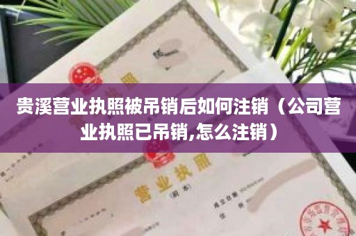 贵溪营业执照被吊销后如何注销（公司营业执照已吊销,怎么注销）