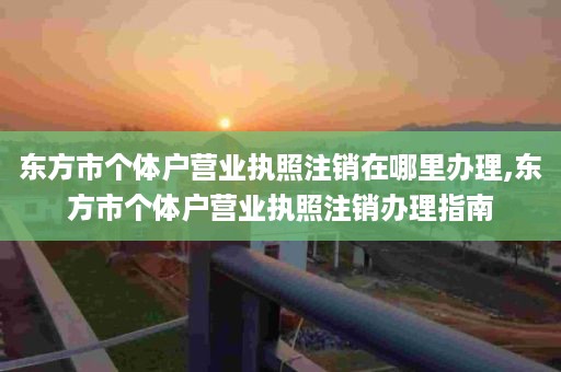 东方市个体户营业执照注销在哪里办理,东方市个体户营业执照注销办理指南