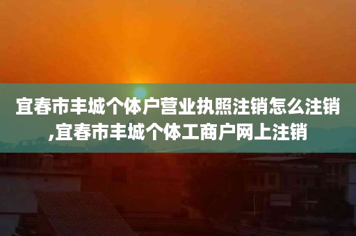 宜春市丰城个体户营业执照注销怎么注销,宜春市丰城个体工商户网上注销