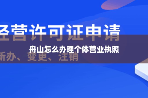 舟山怎么办理个体营业执照