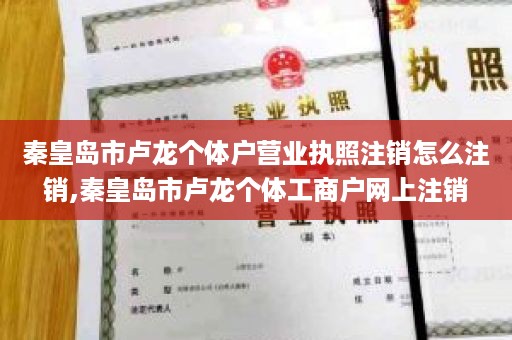 秦皇岛市卢龙个体户营业执照注销怎么注销,秦皇岛市卢龙个体工商户网上注销