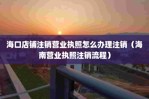 海口店铺注销营业执照怎么办理注销（海南营业执照注销流程）