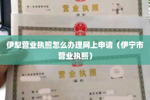 伊犁营业执照怎么办理网上申请（伊宁市营业执照）