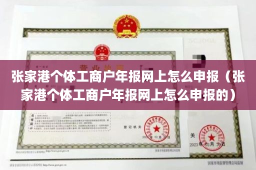 张家港个体工商户年报网上怎么申报（张家港个体工商户年报网上怎么申报的）