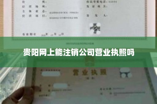 贵阳网上能注销公司营业执照吗