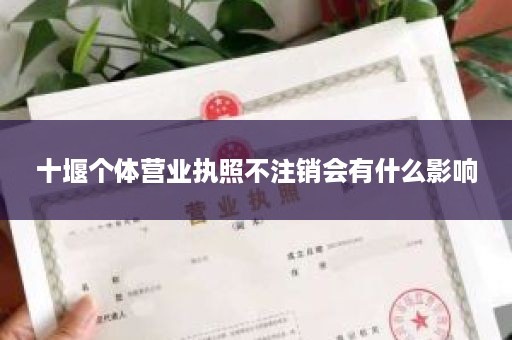 十堰个体营业执照不注销会有什么影响