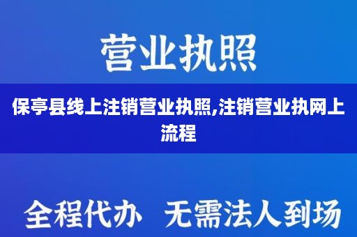 保亭县线上注销营业执照,注销营业执网上流程