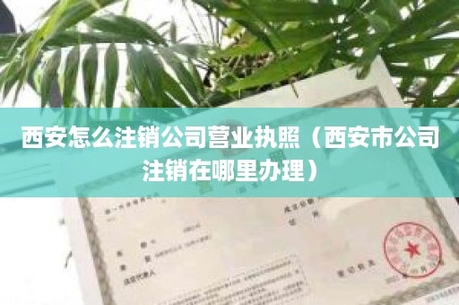 西安怎么注销公司营业执照（西安市公司注销在哪里办理）