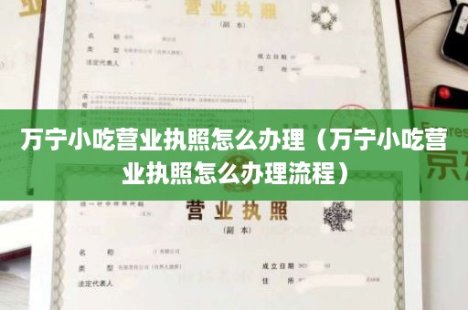 万宁小吃营业执照怎么办理（万宁小吃营业执照怎么办理流程）