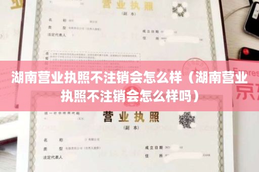 湖南营业执照不注销会怎么样（湖南营业执照不注销会怎么样吗）