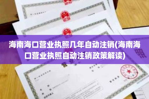 海南海口营业执照几年自动注销(海南海口营业执照自动注销政策解读)