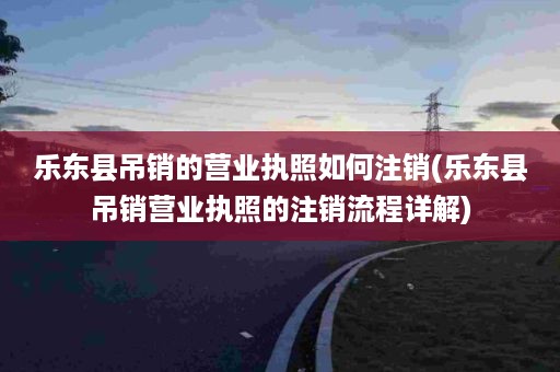 乐东县吊销的营业执照如何注销(乐东县吊销营业执照的注销流程详解)