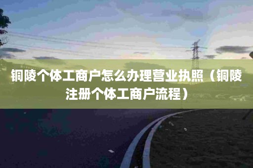 铜陵个体工商户怎么办理营业执照（铜陵注册个体工商户流程）